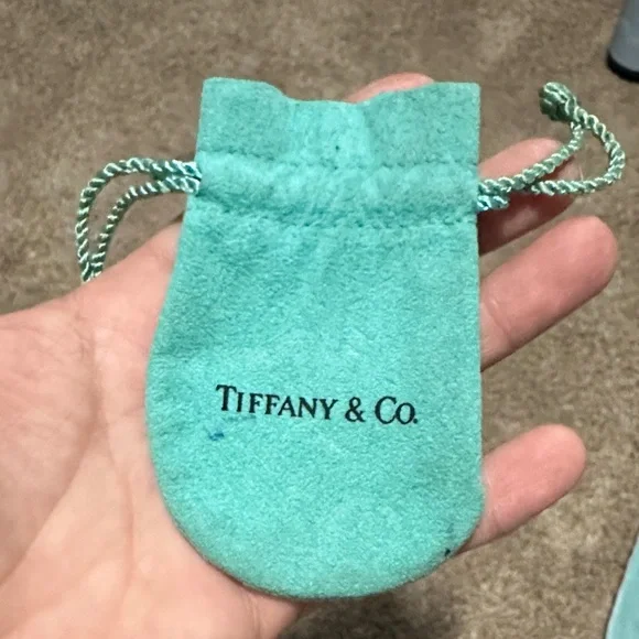 Tiffany & Co. Turquoise Pouch Collection - Picture 13 of 16